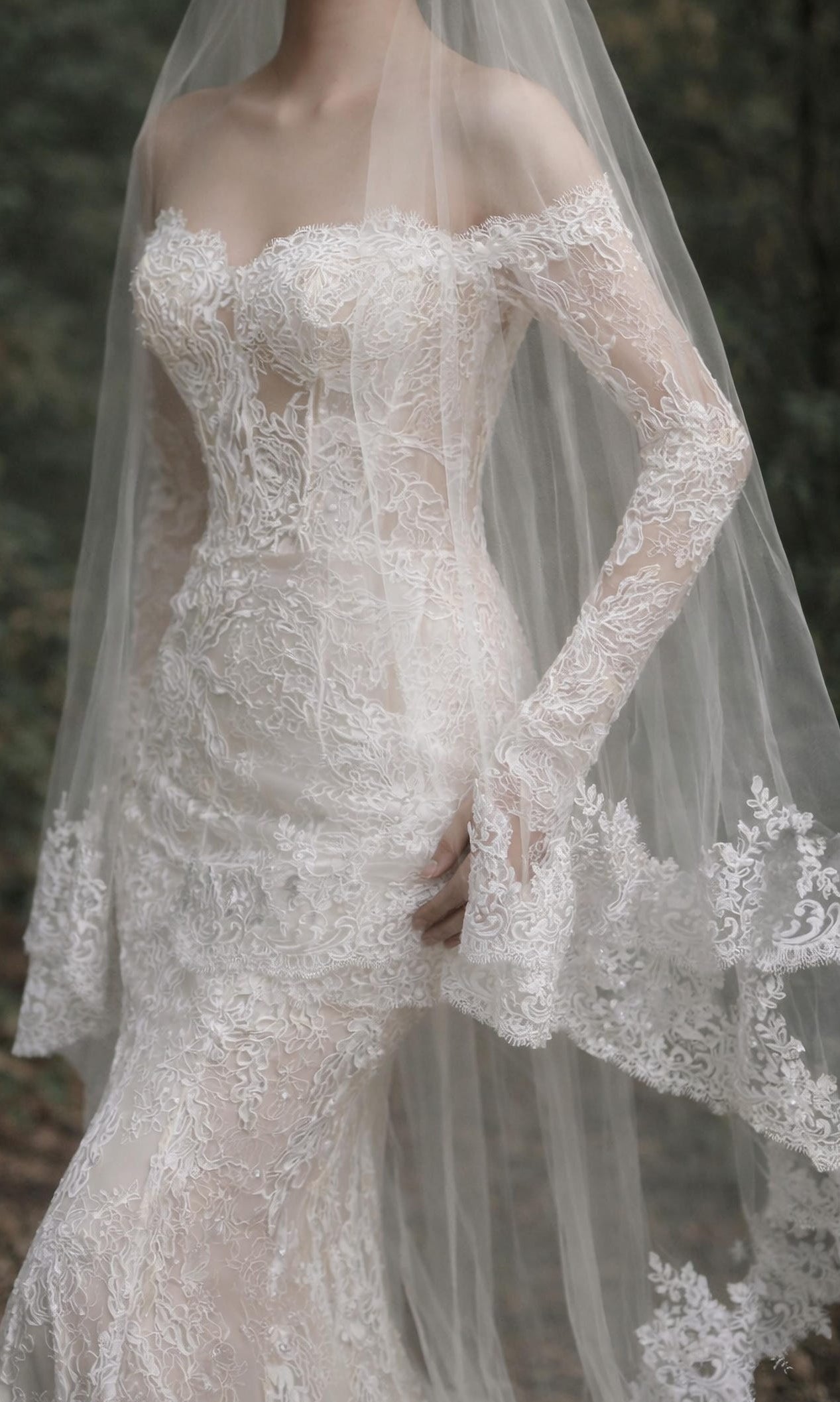 Magnolia Veil