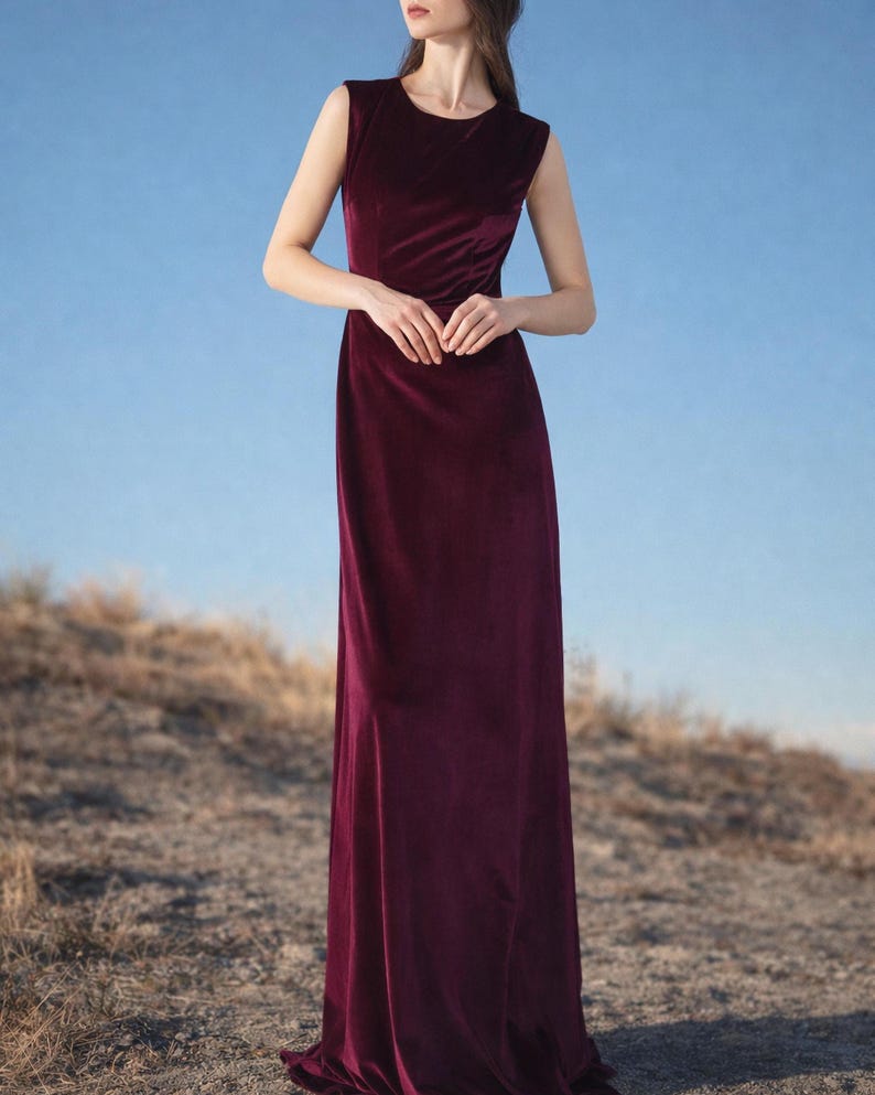 Sleeveless Velvet Dress