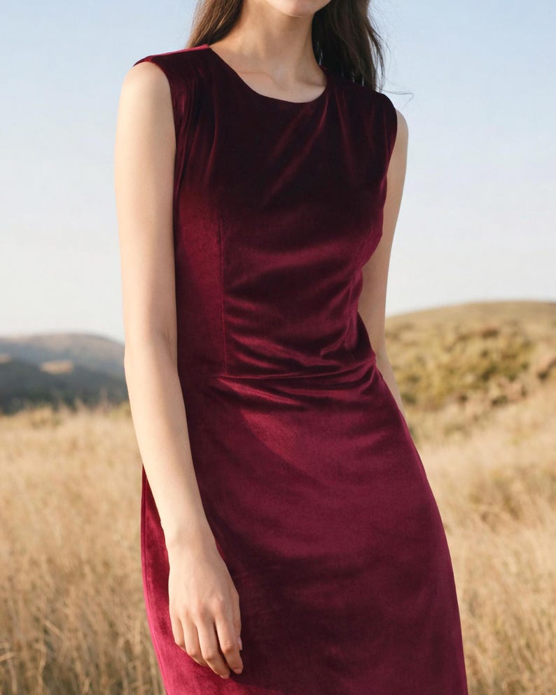 Sleeveless Velvet Dress