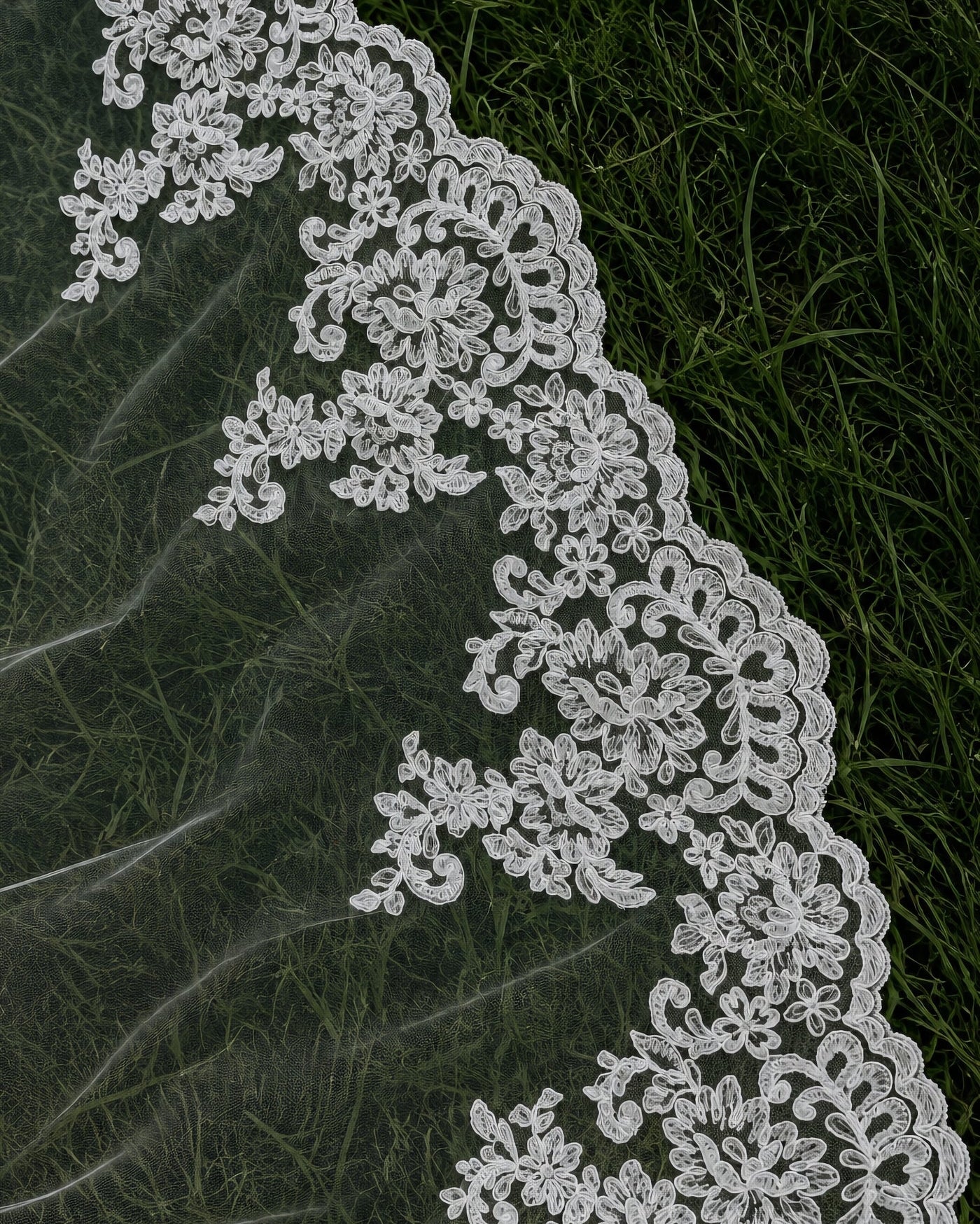 Magnolia Veil