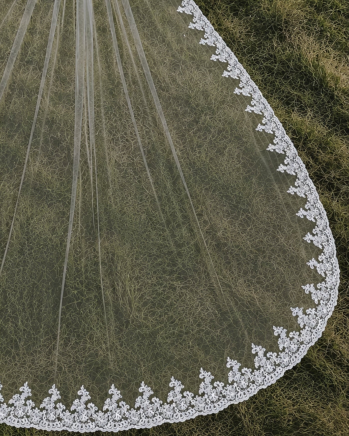 Magnolia Veil