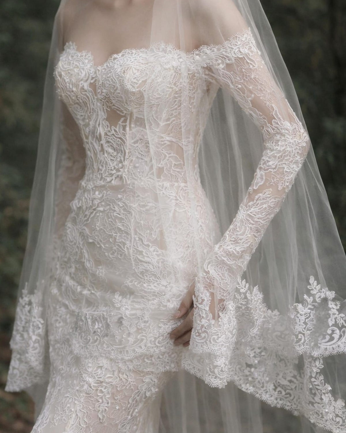 Magnolia Veil