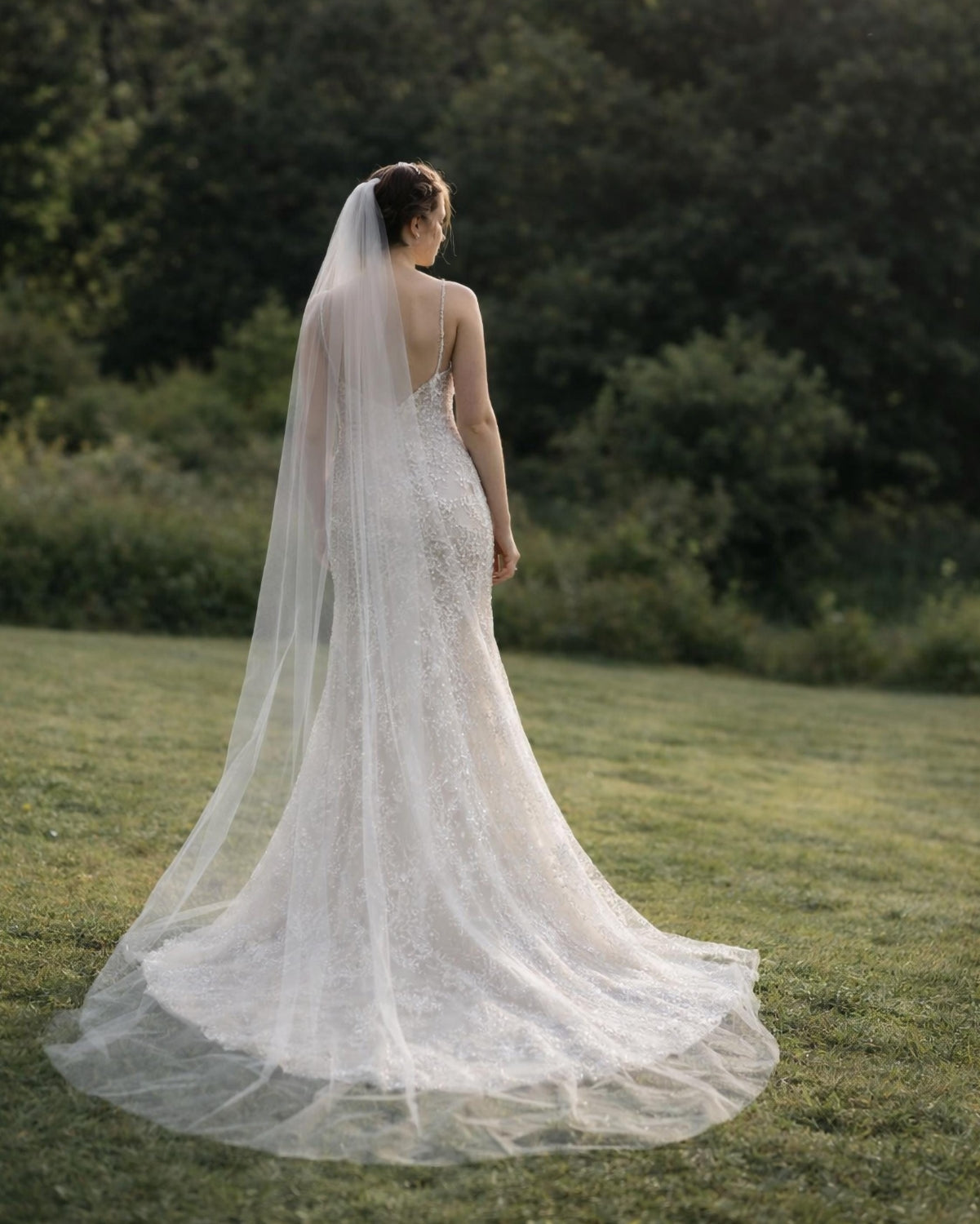 Primrose Veil