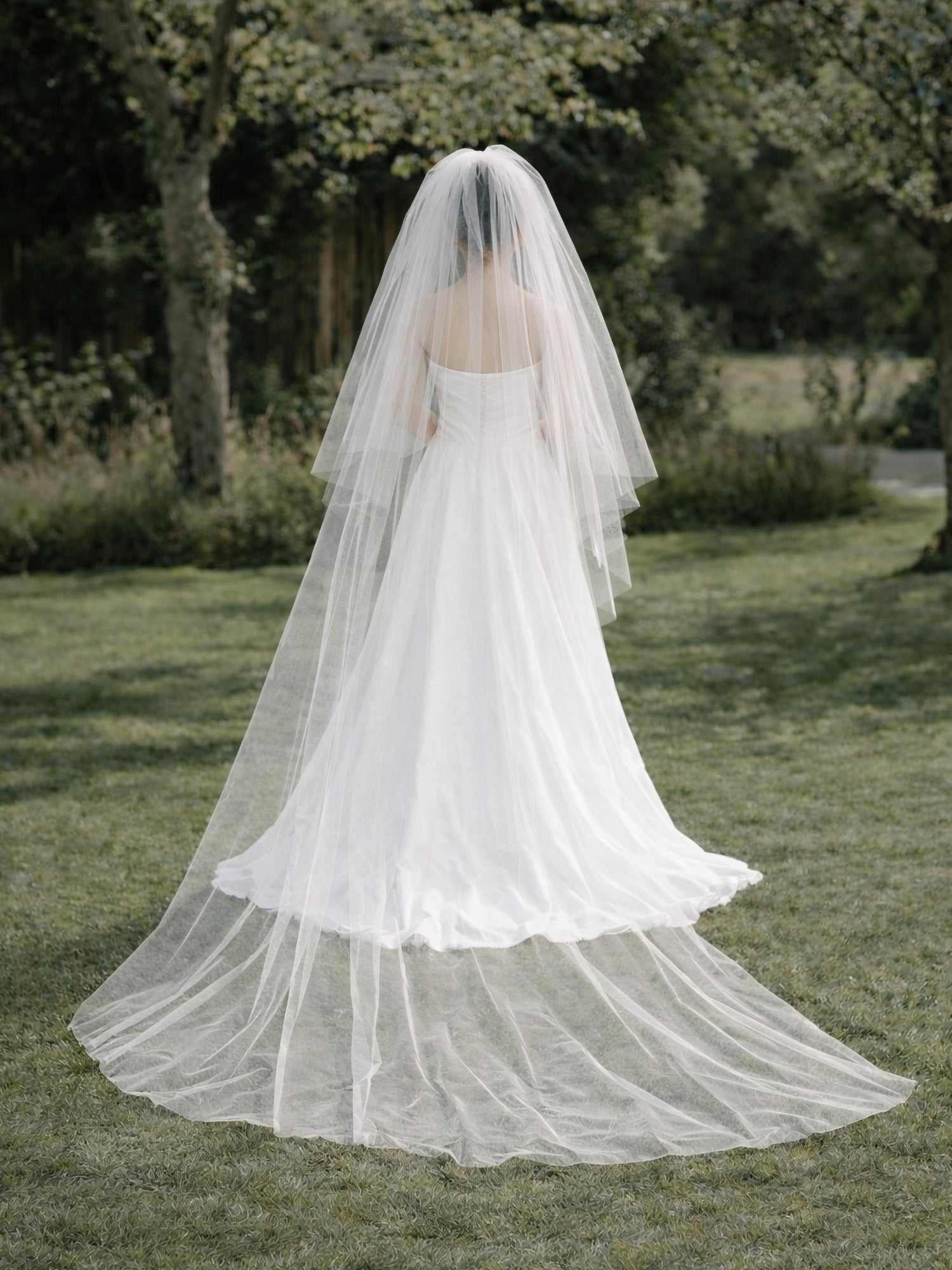 Hellebore Veil