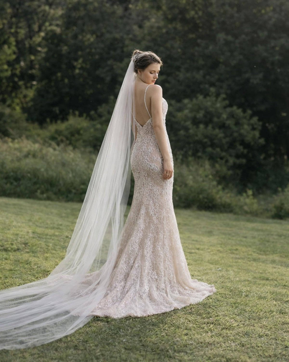 Primrose Veil